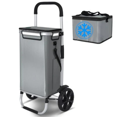 Imagen de VOUNOT Carrito Compra Plegable de Aluminio 2 Ruedas, Carro la 3 en 1 con Bolsa Impermeable Desmontable y Isotérmica Individual, Compras Rodante Guardabarros, 50L, Gris