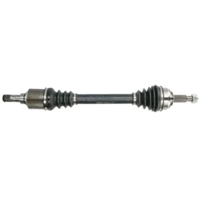 Imagen de Semi eje PASCAL G2R097PC