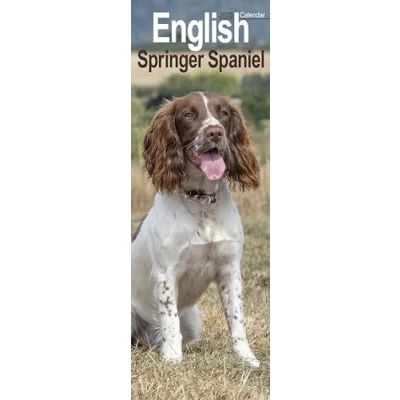 Imagen de English Springer Spaniel Slim Calendar 2025 Dog Breed Slimline 12 Month