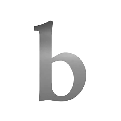 Imagen de Letras adhesivas b en plata I Serif Altura 10 cm Autoadhesivo Número de casa Complemento Letra para Pegar Exterior, Buzón, Puerta Resistente a la intemperie kfz_479_b