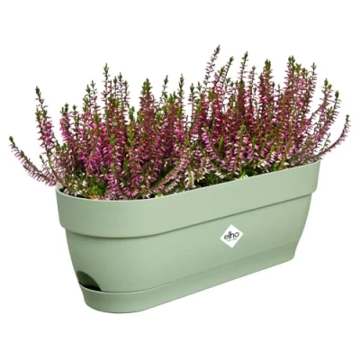 Imagen de Elho Vibia Campana Trough 50 Jardinera por Balcón Ø 49.0 x H 17.0 cm Verde/Pistache Green