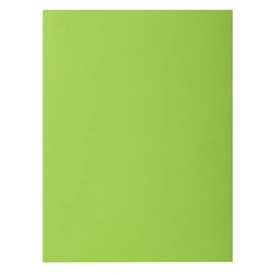 Imagen de Exacompta 217113E Lote de 10 Subcarpetas Rock&quot;S 220, Color Verde Claro