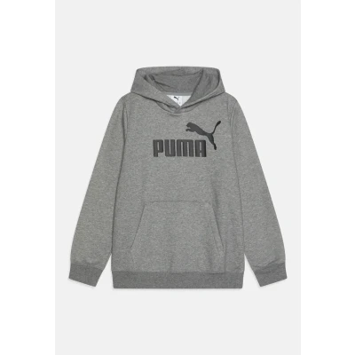 Imagen de Sudadera de frisa con capucha ESS logotipo n.º 1 juvenil