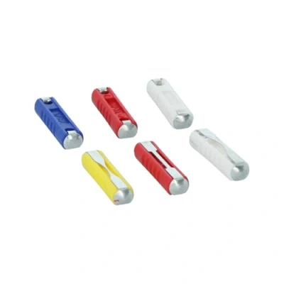Imagen de CARPOINT 1623904 Juego de fusibles