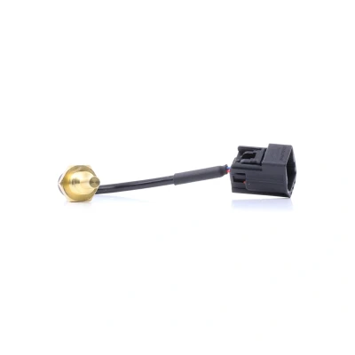 Imagen de DELPHI TS10493 Sensor de Temperatura del Refrigerante VOLVO: S80 I, S40 V70 2