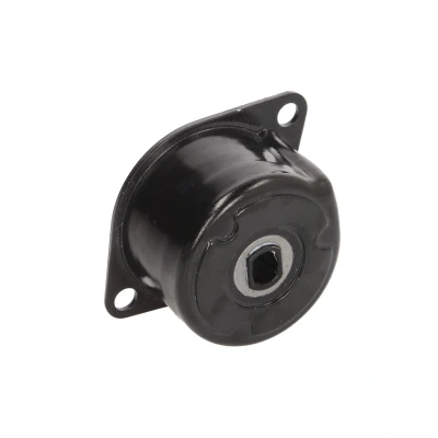 Imagen de INA 534 0172 10 Brazo tensor, correa trapecial poli V VOLKSWAGEN: TRANSPORTER 4, 4 Bus