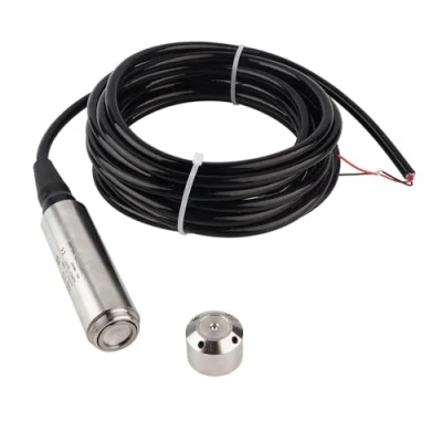 Imagen de Sensor de nivel líquido YB 2J F Transmisor Tipo entrada Detector agua con sonda acero inoxidable(0 4m Measuring Range)