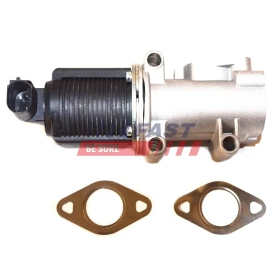 Imagen de Válvula EGR FAST FT60238