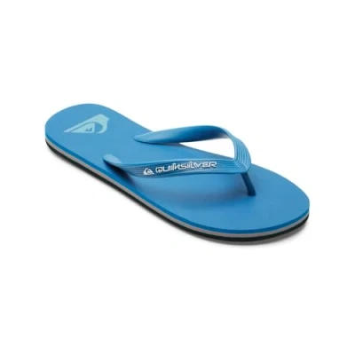 Imagen de Quiksilver Molokai Core Chanclas para Hombre