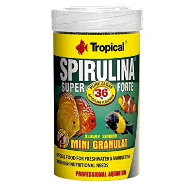 Imagen de Tropical Super Spirulina Forte Mini pienso granulado con 36% de espirulina (Platensis), 1 Unidad (1 x 100 ml)