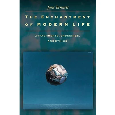 Imagen de The enchantment of modern life