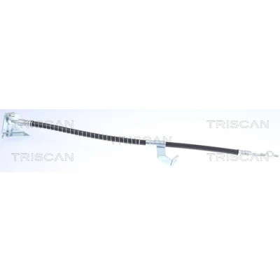 Imagen de TRISCAN 8150 43163 Latiguillos de Freno 490 F10x1