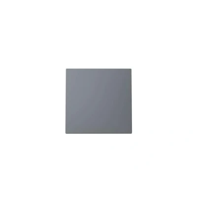 Imagen de Tapa tecla interruptor conmutador Serie Alba de Niessen Gris