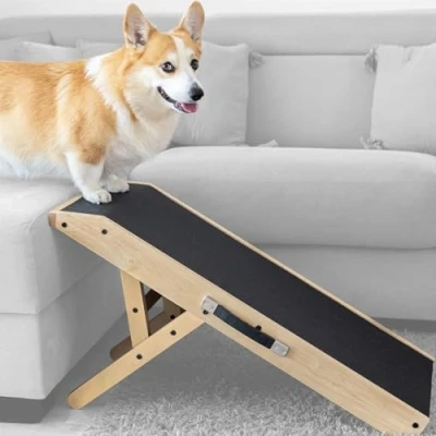 Imagen de Rampa para Perros pequeños o Grandes Ajustable 18 53 cm Cama y sofá Madera de Abedul La Plataforma se Conecta Perfectamente Superficie Antideslizante Natural