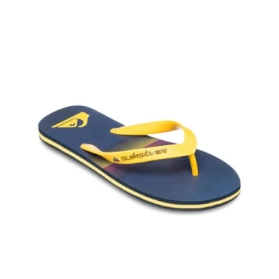 Imagen de Quiksilver Molokai Stripe 25 Chanclas de dedo, Hombre, Talla: 41, Bsw6 Fibra sintética