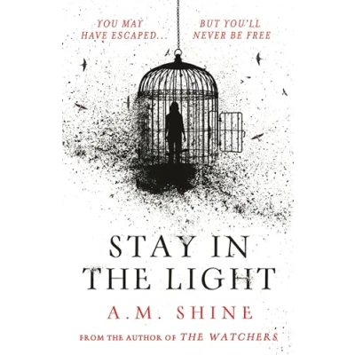 Imagen de Stay In The Light