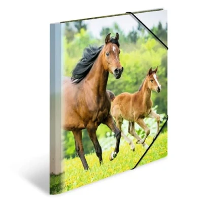 Imagen de HERMA 7140 carpeta de dibujo Animales con motivo Caballos, A4, plástico resistente, impresión interior, 1 palmo