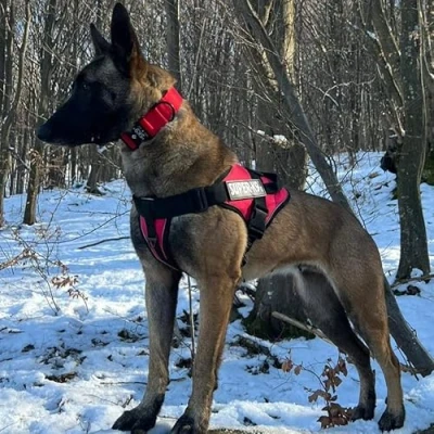 Imagen de SK9 Arnes Perro Mediano Grande Arnés Antitirones Reflectante Comodo y Transpirable (M, Rojo)
