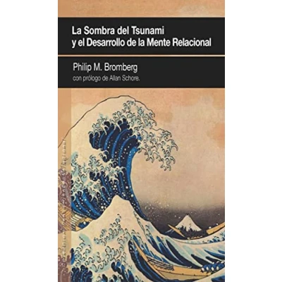 Imagen de la sombra del tsunami y el desarrollo de mente relacional: 18 (PENSAMIENTO RELACIONAL)