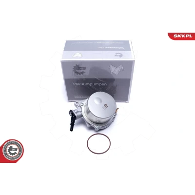 Imagen de ESEN SKV 18SKV059 Bomba de Vacío Sistema Frenado MINI: Hatchback, Clubman, PEUGEOT: 207 CC