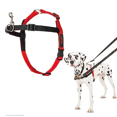 Imagen de Arnés de control frontal HALTI para evitar que tu perro tire la correa, Ajustable, Ligero y Fácil Usar. Adiestramiento canino antitirones perros medianos (Talla M)