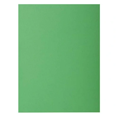 Imagen de Exacompta 210004E Lote de 100 Subcarpetas Rock&quot;S 220, Color Verde
