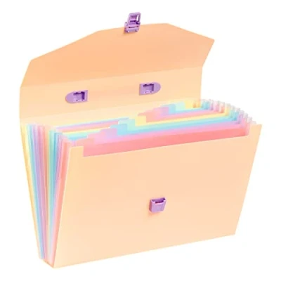 Imagen de Viquel Clasificador de Valisette A4 con 12 compartimentos Rainbow Pastel Beige