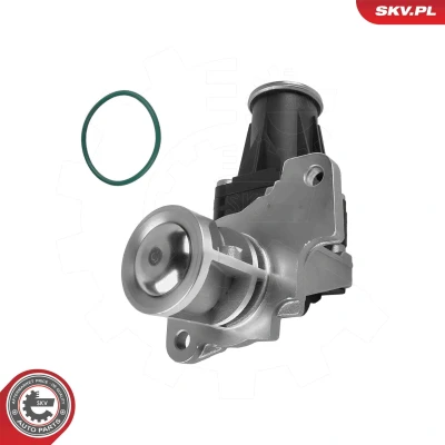 Imagen de Válvula EGR ESEN SKV 14SKV318