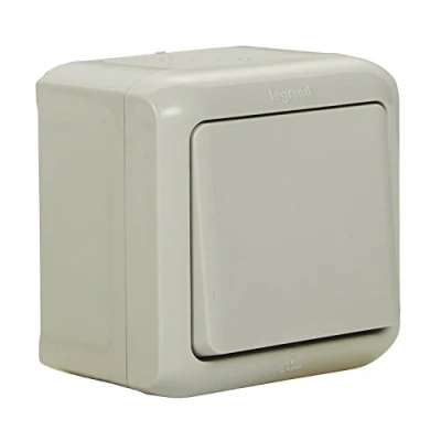 Imagen de PULSADOR LEGRAND FORIX 782384 IP 44 10A X 250V GRIS