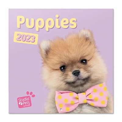 Imagen de Grupo Erik, Calendario Studio Pets puppies 2023, 2023 con certificado FSC, mensual, 30x30 cm, perros, Producto licencia oficial, CP23059, Puppies, Pared
