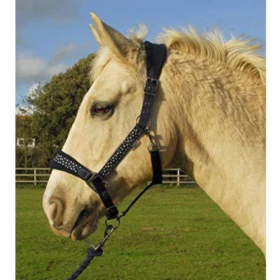 Imagen de Rhinegold 394 F TURQ Star Juego de Collar y Cuerda, Turquesa, Plein