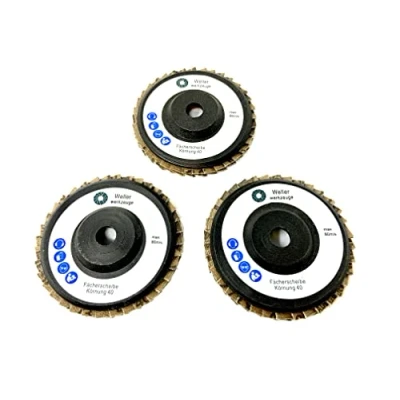 Imagen de WELLERWERKZEUGE Juego de discos abanico grano: 40, 76 x 10 mm, apto para amoladoras angulares con batería mini como Bosch GWS 10,8 V, 12 acero, madera y plástico (3)