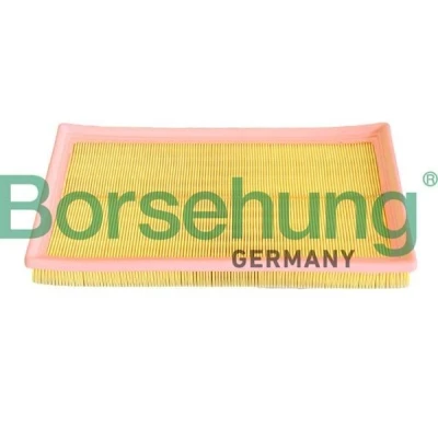 Imagen de Filtro de aire Borsehung B12293