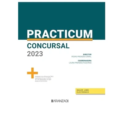Imagen de Practicum Concursal 2023
