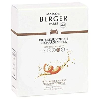 Imagen de LAMPE BERGER Rec.X2 DIFF PETILLANCE