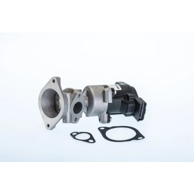 Imagen de WAHLER 710984R Válvula EGR eléctrico con junta LAND ROVER: Discovery 3, 4, Range Rover Sport