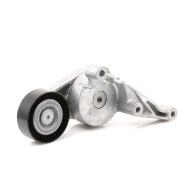 Imagen de FEBI BILSTEIN 28025 Tensor de Correa VOLKSWAGEN: Golf 5, Caddy 3, Eos, SEAT: Leon II Hatchback, Toledo AUDI: A3 Hatchback norauto, oscaro, mister