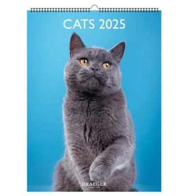 Imagen de Calendario decorativo de pared 29 x 39 cm 2025 Enero a diciembre Gatos