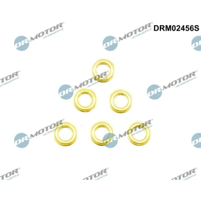 Imagen de DR.MOTOR AUTOMOTIVE DRM02456S Protección térmica, sistema inyección RENAULT: CLIO 2, Kangoo I Express, LAGUNA 1