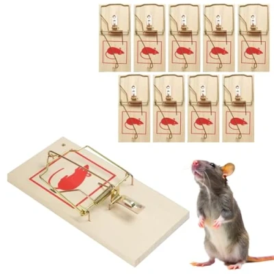 Imagen de Dyaucwpo 10 Piezas Trampas para Ratones, Ratoneras Maderas, Ratonera Cepo Clásica Gran Poder de Impacto, Pare Ratones Reutilizable, Profesional Ratoneras, Casa Exterior y Interior
