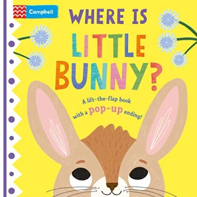 Imagen de Where Is Little Bunny?