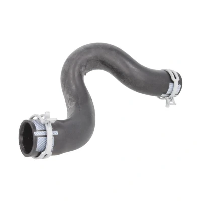 Imagen de Manguera del radiador SASIC 3400205