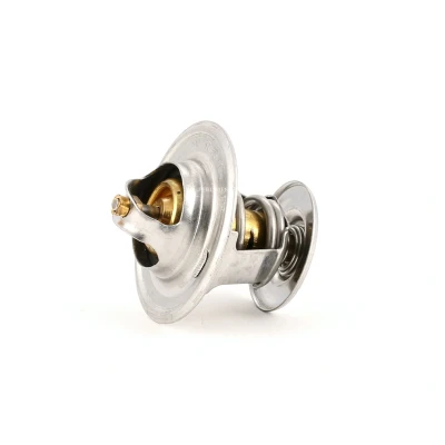 Imagen de FEBI BILSTEIN 17976 Termostato, refrigerante 87 con junta anular SEAT: Leon I Hatchback, Córdoba II Berlina, Inca, SKODA: Octavia Hatchback norauto
