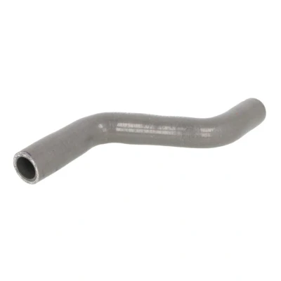 Imagen de SASIC 3310001 Tubo flexible para aceite Eje delantero CITROËN: C3 I Hatchback, C2 FORD: FIESTA 5, PEUGEOT: 206 Hatchback