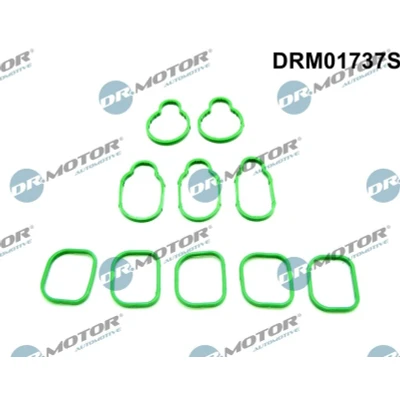 Imagen de DR.MOTOR AUTOMOTIVE DRM01737S Juego de juntas, colector admisión VOLKSWAGEN: Golf 4, Bora Berlina, 4 Variant
