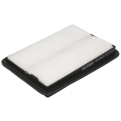 Imagen de FILTRON AP 124/5 Filtro de aire 36 172 252 Cartucho filtrante RENAULT: Koleos 2