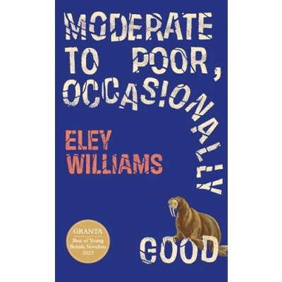 Imagen de Moderate To Poor Occasionally Good (ebook)