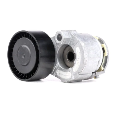 Imagen de INA 534 0269 10 Brazo tensor, correa trapecial poli V RENAULT: CLIO 2, SCENIC Kangoo I Express, NISSAN: Almera II Hatchback norauto, oscaro, mister