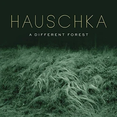 Imagen de A Different Forest Vinilo