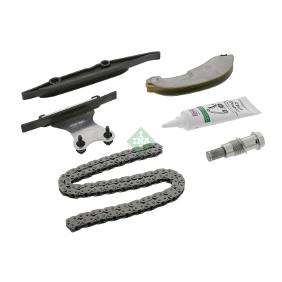 Imagen de Kit de cadena distribución INA 559 1007 21